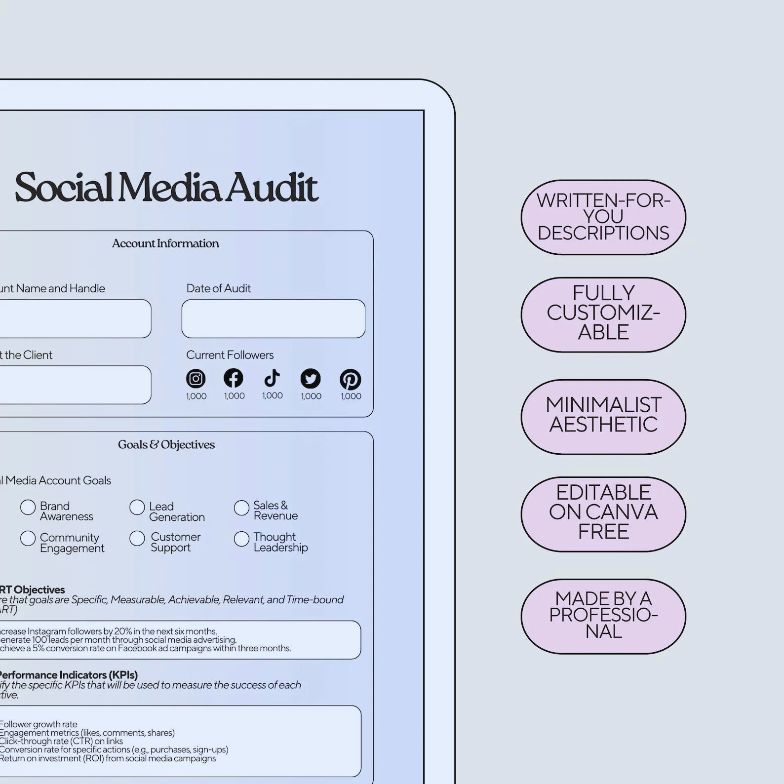 Modèle d'Audit des Médias Sociaux